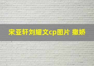 宋亚轩刘耀文cp图片 撒娇